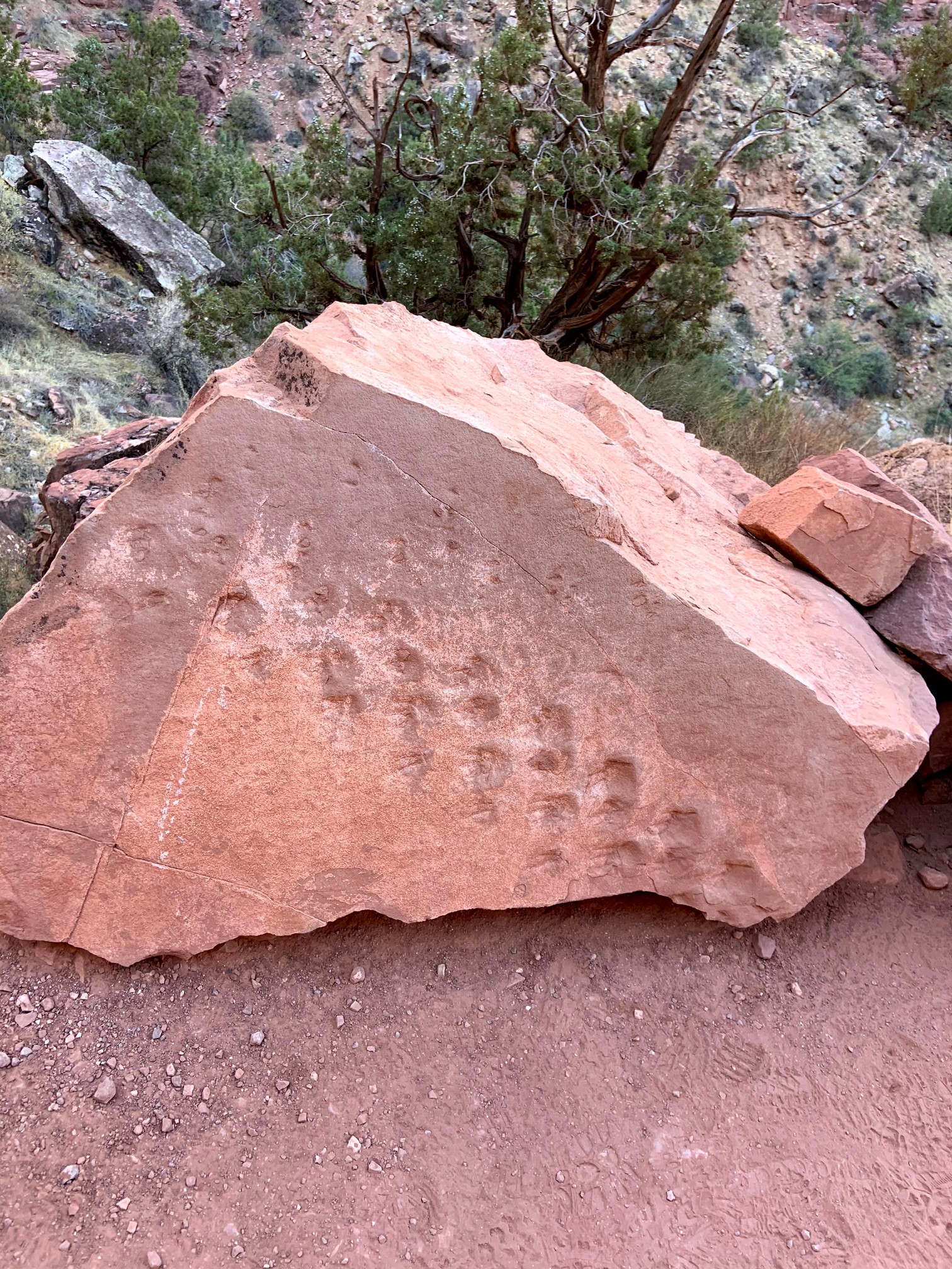 Supai Fossil Trackways on the Bright Angel Trail